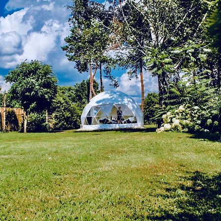 B Our Guest At Your Cozy Hideaway Dome Near Dresden Frauendorf  Екстер'єр фото